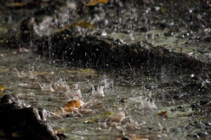 Improve flood control by storing rainwater for irrigation - PBBM