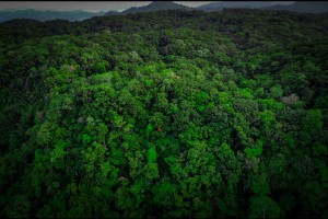 Marcos says Samar Island more peaceful now with weakened NPA