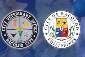 Bacolod City sets up bigger, more conducive shelter for dogs