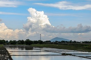 DA interventions ready for looming La Niña