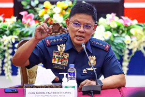 PNP chief orders quick probe into erring cops' cases