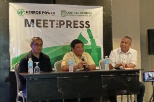 New central Negros power distributor seen to start operation by Q3