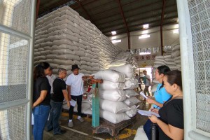 NFA-Bicol exceeds palay procurement target for May by 442%