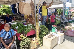 DA-13, farmer groups open Kadiwa market fair, services in Siargao