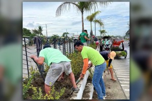 More native seedlings needed for massive tree-growing activity