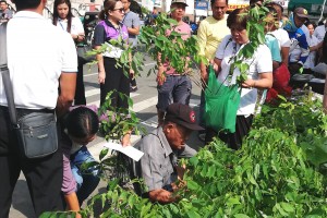 2023 Abra floods emphasize relevance of reforestation 