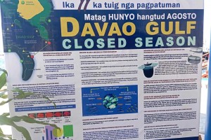 Davao Gulf's June-August closed season aims to protect pelagic fish