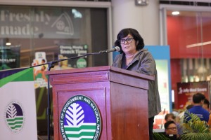 20% of plastic wastes diverted in first year of EPR Act - DENR