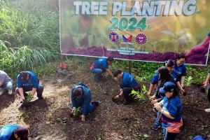 DPWH plants 11K tree seedlings; pledges to help protect environment