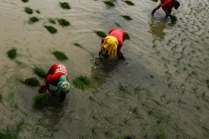 PAGASA declares end of El Niño but dry spell still likely in 6 areas