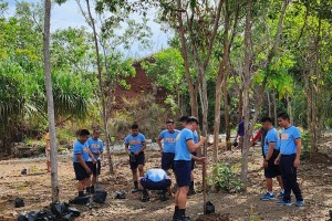 DENR sets planting of 2.5K narra seedlings in Pangasinan