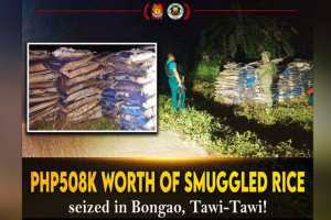 P508-K suspected smuggled rice seized in Tawi-Tawi