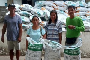 Antique farmers urged to prepare ‘homegrown’ seeds