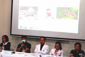 DOH reiterates importance of clean surroundings vs. dengue