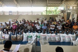 Ilocos rice farmers get hybrid seeds for wet season