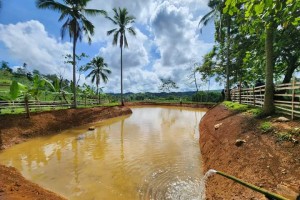 DSWD project recipients plant crops, build water reservoirs in Negros