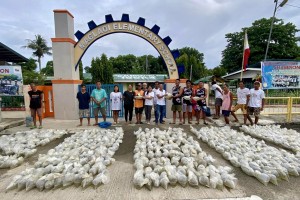 Typhoon-affected Ilocos fisherfolk receive 45k fingerlings