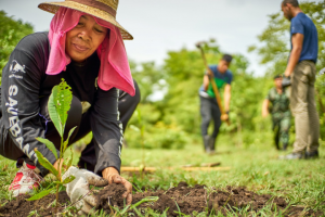 Foundation receives pledges to plant 2.7M trees in 2025