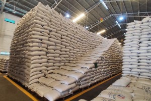 Ilocos Norte’s rice buffer stock enough until next harvest season
