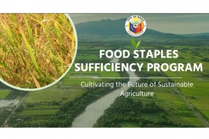 Bago City’s anti-hunger initiative leads to 215% rice sufficiency