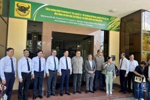 DA eyes partnership with Vietnam fertilizer company