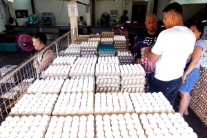 DA assures collab with layer industry amid spiking egg prices