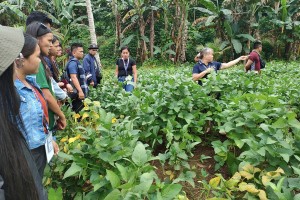 Study up on benefits of corn-soybean cropping system in Caraga