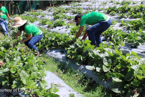 Over 3K Western Visayas villages to carry out HAPAG project