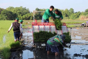 PhilMech to donate machinery to Pangasinan’s corporate farming program