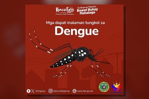 DOH notes rising dengue cases in Eastern Visayas