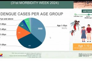 Over 10K dengue cases, 20 deaths recorded in W. Visayas