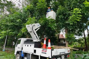 Negros power firm removes vegetation causing brownouts