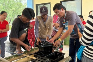 Catanduanes fisherfolk get capital, training for crab fattening 