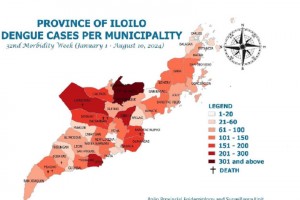 Iloilo beefs up efforts amid hike in dengue cases   