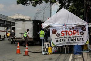 Seized hogs in QC checkpoint positive for ASF