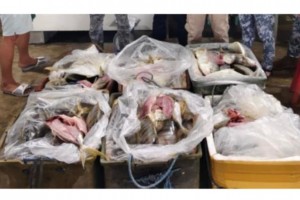 NegOcc works closely with BFAR vs. sale of illegally caught fish