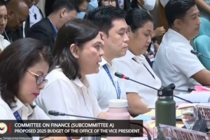 Proposed 2025 OVP budget passes Senate panel deliberation