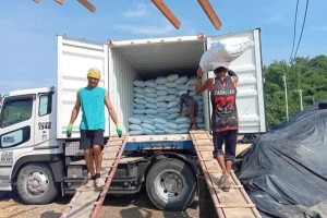 Pangasinan supplies over 2M kilos of salt fertilizer to coco farmers