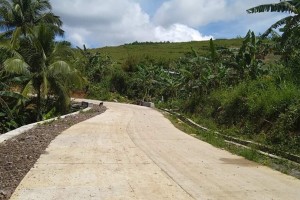 P72-M concrete roads spur development in Negros rural communities