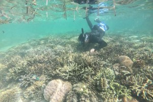 Cadiz City cites marine protection efforts in Giant Clam Village