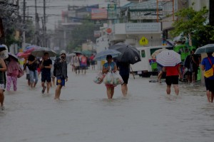 Leptospirosis cases 5% higher from Jan. 1 to Aug. 17