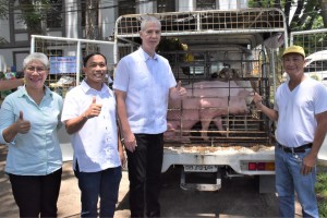 Negros Occidental hog raisers get breeder swine for hog repopulation