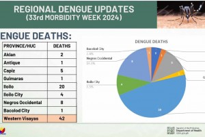 Public urged to seek early consultation amid rise in dengue cases