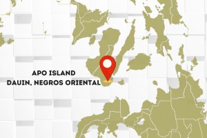 Electric coop proposes to pilot solar power project in Apo Island