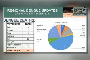 W. Visayas records over 20.8K dengue cases, 51 deaths