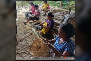 Iloilo farmers urged to engage in bamboo growing