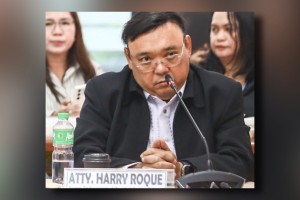 House taps PNP to capture Harry Roque