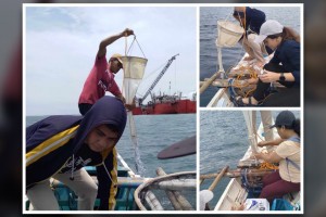 Shellfish ban still up in Bais Bay; two Siaton bays red tide-free 