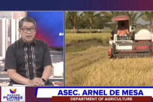 Significant changes in PH agri expected in 2 to 4 years