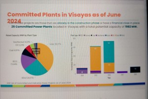 Renewable energy tops committed power projects in Visayas